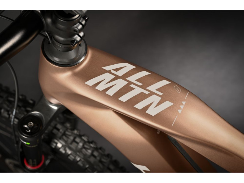 Horský elektrobicykel Haibike AllMtn CF 8 | 2024