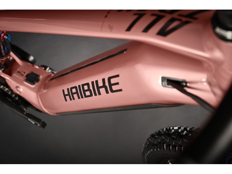 Horský elektrobicykel Haibike Alltrail 7 | 2024