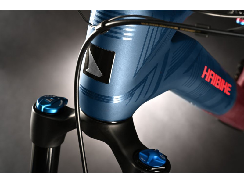Horský elektrobicykel Haibike LYKE CF 11 | 2024