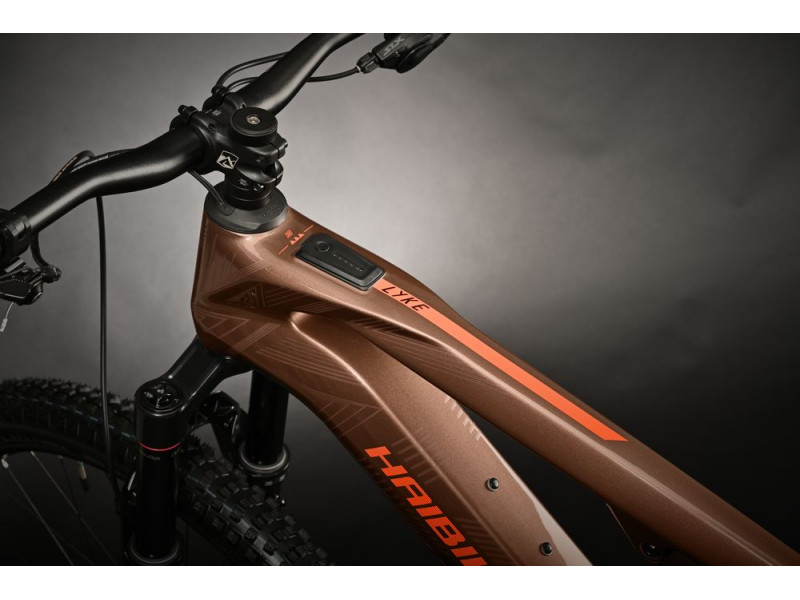 Horský elektrobicykel Haibike LYKE CF 10 | 2024