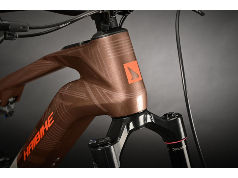 Horský elektrobicykel Haibike LYKE CF 10 | 2024