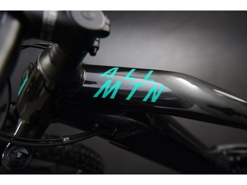 Horský elektrobicykel Haibike AllMtn 1 | 2022