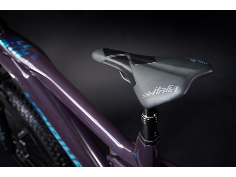 Horský elektrobicykel Haibike AllMtn CF 11 | 2022