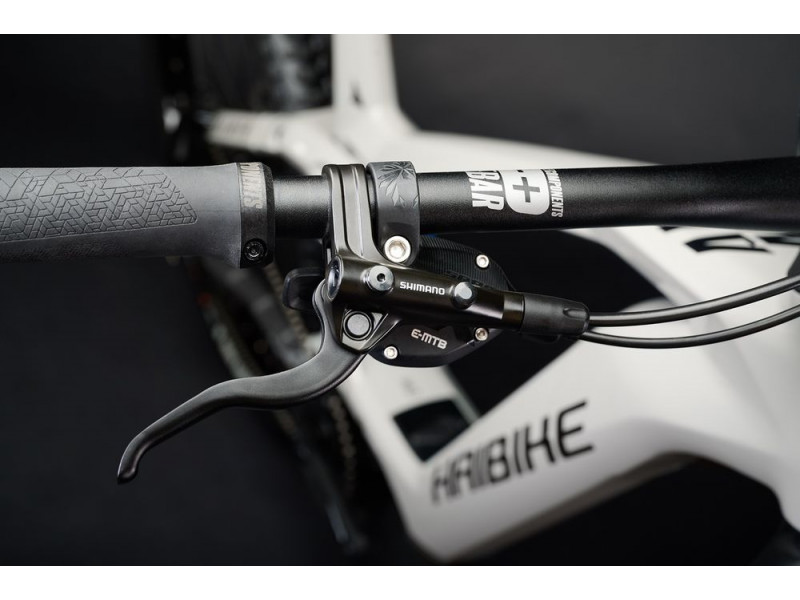 Horský elektrobicykel Haibike AllMtn CF 9 | 2022
